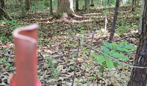 Photo #31 of 1392 Tucker Terrace, Evington, VA 2.5 acres