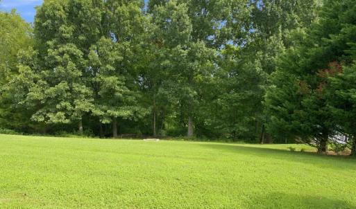 Photo #65 of 1440 Ty Bluff Road, Forest, VA 1.0 acres