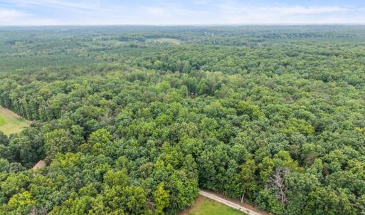Photo #94 of 372 Hidden Treasure Lane, Pamplin, VA 38.1 acres