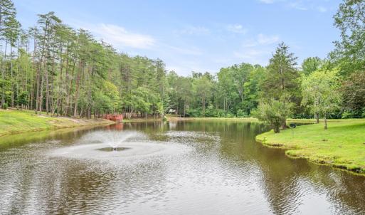 Photo #85 of 372 Hidden Treasure Lane, Pamplin, VA 38.1 acres