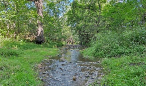 Photo #27 of 7654 Goose Creek Valley Road, Montvale, VA 19.7 acres