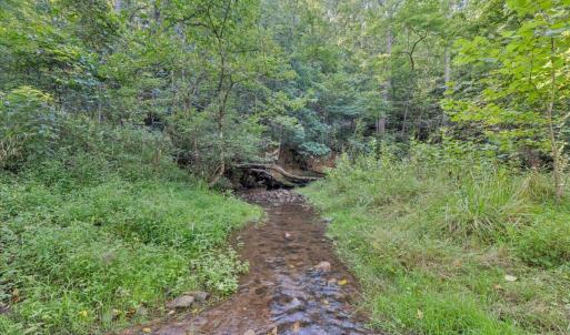 Photo #95 of 7654 Goose Creek Valley Road, Montvale, VA 19.7 acres