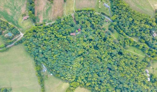 Photo #83 of 7654 Goose Creek Valley Road, Montvale, VA 19.7 acres