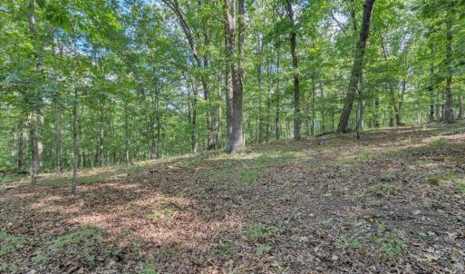 Photo #93 of 7654 Goose Creek Valley Road, Montvale, VA 19.7 acres