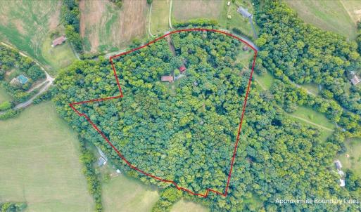 Photo #19 of 7654 Goose Creek Valley Road, Montvale, VA 19.7 acres