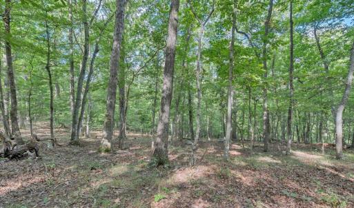 Photo #13 of 7654 Goose Creek Valley Road, Montvale, VA 19.7 acres