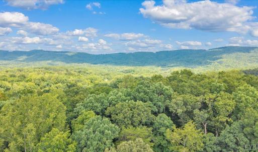 Photo #98 of 7654 Goose Creek Valley Road, Montvale, VA 19.7 acres