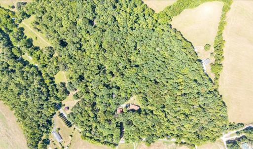 Photo #76 of 7654 Goose Creek Valley Road, Montvale, VA 19.7 acres