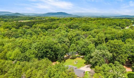 Photo #42 of 1097 Winn Drive, Moneta, VA 0.7 acres