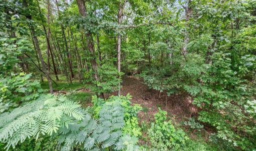 Photo #37 of 1097 Winn Drive, Moneta, VA 0.7 acres