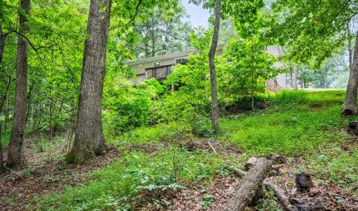 Photo #38 of 1097 Winn Drive, Moneta, VA 0.7 acres