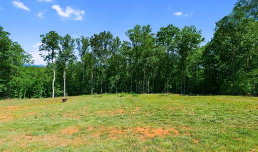 Photo #48 of 2050 Turkey Mountain Road, Amherst, VA 1.4 acres