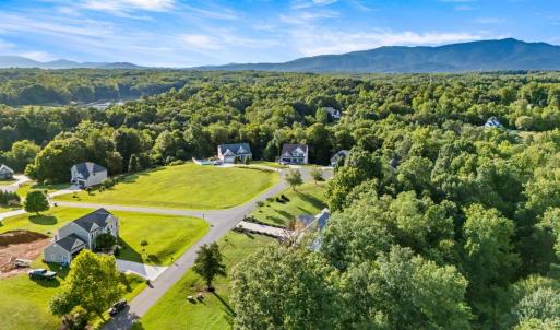 Photo #78 of 176 Ralls Apple Road, Madison Heights, VA 2.7 acres