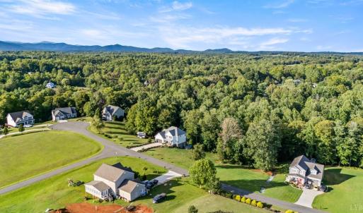 Photo #74 of 176 Ralls Apple Road, Madison Heights, VA 2.7 acres