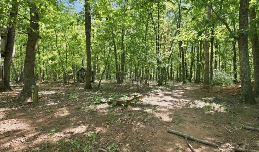 Photo #69 of 47 Harbor Drive, Lynchburg, VA 2.0 acres