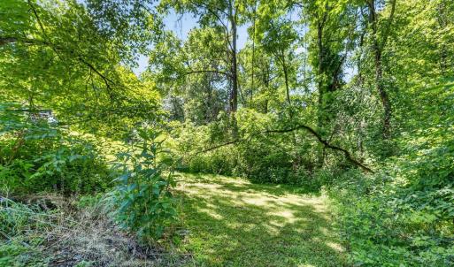 Photo #42 of 201 Westbriar Place, Madison Heights, VA 0.6 acres