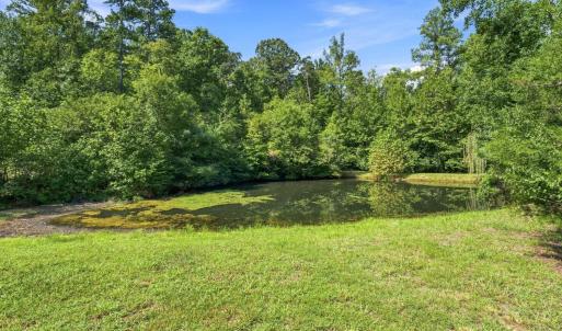 Photo #41 of 175 Tracie Drive, Altavista, VA 19.9 acres