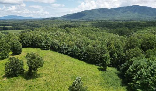 Photo #52 of 12501 Big Island Highway, Big Island, VA 26.4 acres