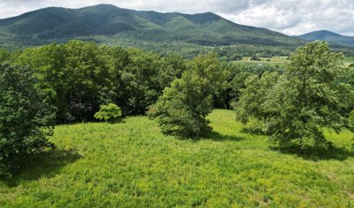Photo #53 of 12501 Big Island Highway, Big Island, VA 26.4 acres