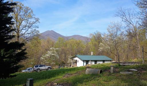 There are many dogwoods around the yard. In the winter you can see the Priest from the house.