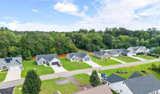 Photo #48 of 163 Mill Race Drive, Amherst, VA 0.2 acres