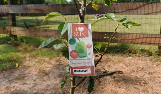 Photo #30 of 232 Armistead Lane, Rustburg, VA 0.7 acres