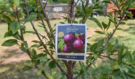 Photo #43 of 232 Armistead Lane, Rustburg, VA 0.7 acres