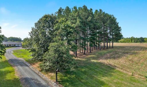 Photo #47 of 258 Wilow Oak Road, Appomattox, VA 9.6 acres