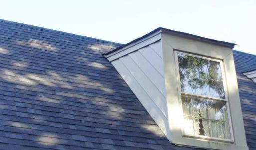 Photo #8 of 809 First Avenue, Farmville, VA 0.4 acres