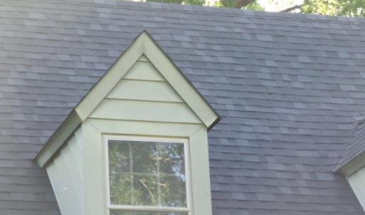 Photo #9 of 809 First Avenue, Farmville, VA 0.4 acres