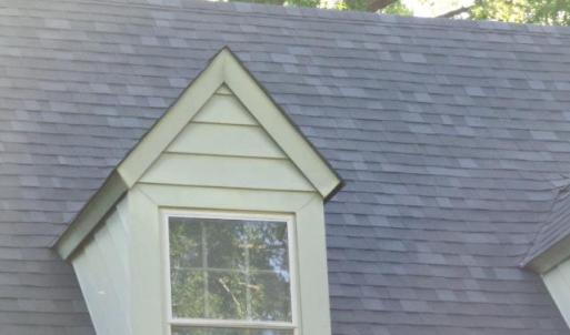 Photo #9 of 809 First Avenue, Farmville, VA 0.4 acres