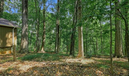 Photo #41 of 1082 Cedar Lane Court, Forest, VA 1.1 acres