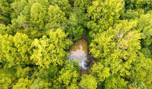 Photo #72 of 3958 Campbell Highway, Lynchburg, VA 8.0 acres