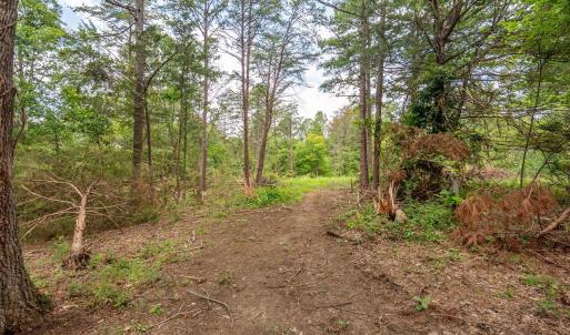 Photo #83 of 3958 Campbell Highway, Lynchburg, VA 8.0 acres
