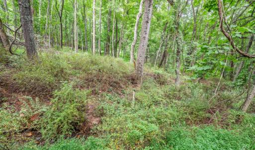 Photo #50 of 1231 Oakwood Street, Bedford, VA 1.8 acres