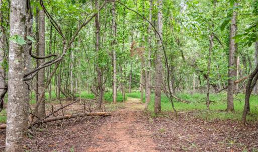 Photo #49 of 1231 Oakwood Street, Bedford, VA 1.8 acres