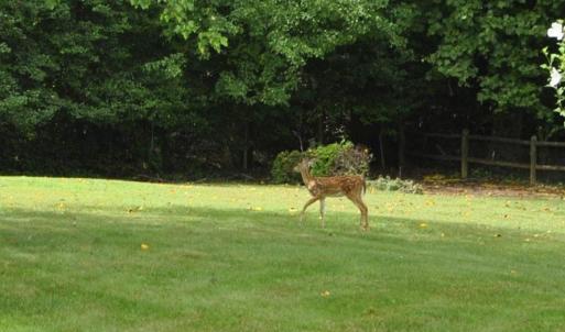 Photo #39 of 426 Beechwood Drive, Lynchburg, VA 0.5 acres