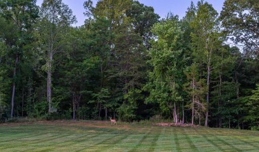 Photo #77 of 111 Waterton Drive, Lynchburg, VA 2.3 acres
