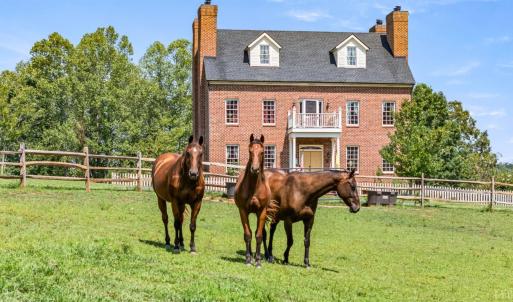 Photo #1 of 2004 Seven Meadows Lane, Appomattox, VA 17.9 acres