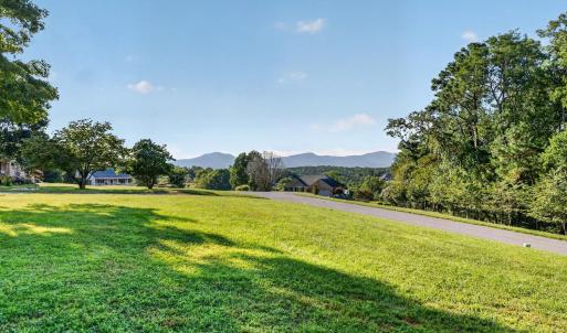 Photo #52 of 8450 Forest Road, Goode, VA 1.0 acres