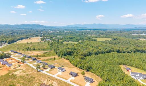 Photo #43 of 203 Fox Hall Drive, Amherst, VA 1.0 acres