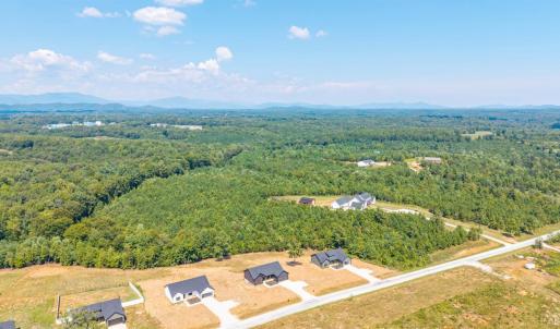 Photo #46 of 203 Fox Hall Drive, Amherst, VA 1.0 acres
