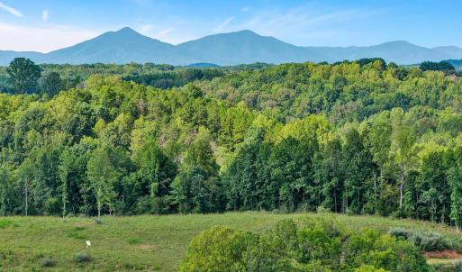 Photo #30 of 2781 Joppa Mill, Bedford, VA 12.7 acres