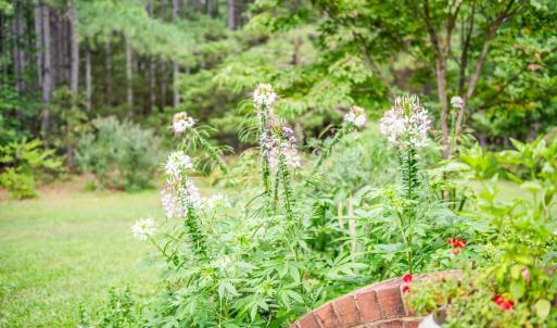 Photo #58 of 1553 Foxfire Lane, Bedford, VA 9.3 acres