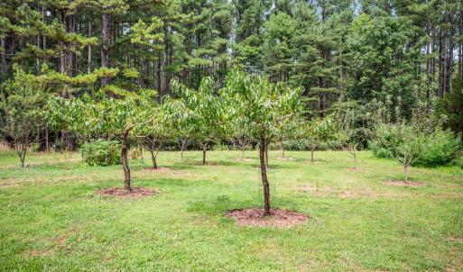 Photo #73 of 1553 Foxfire Lane, Bedford, VA 9.3 acres