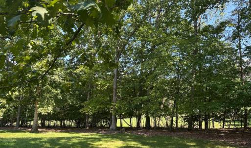 Photo #8 of 28 N Ridge Lane, Lynchburg, VA 1.1 acres