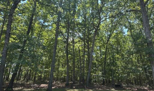 Photo #4 of 28 N Ridge Lane, Lynchburg, VA 1.1 acres