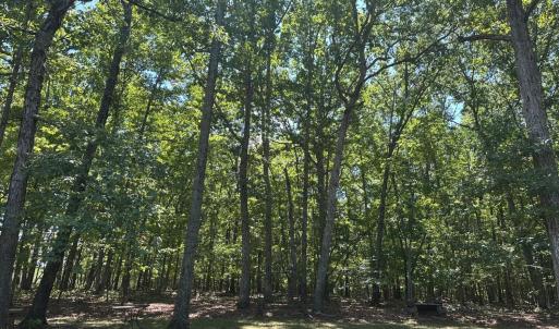 Photo #4 of 28 N Ridge Lane, Lynchburg, VA 1.1 acres