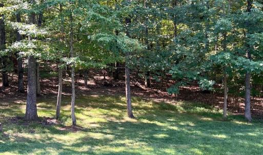 Photo #44 of 687 Partridge Creek Rd, Amherst, VA 5.0 acres
