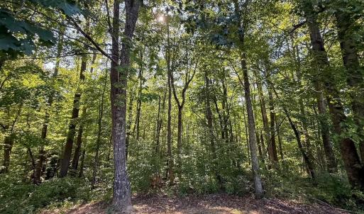 Photo #27 of 4820 Irish Road, Chatham, VA 23.0 acres